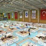 10. Çorum Kitap Kültür Günleri başladı