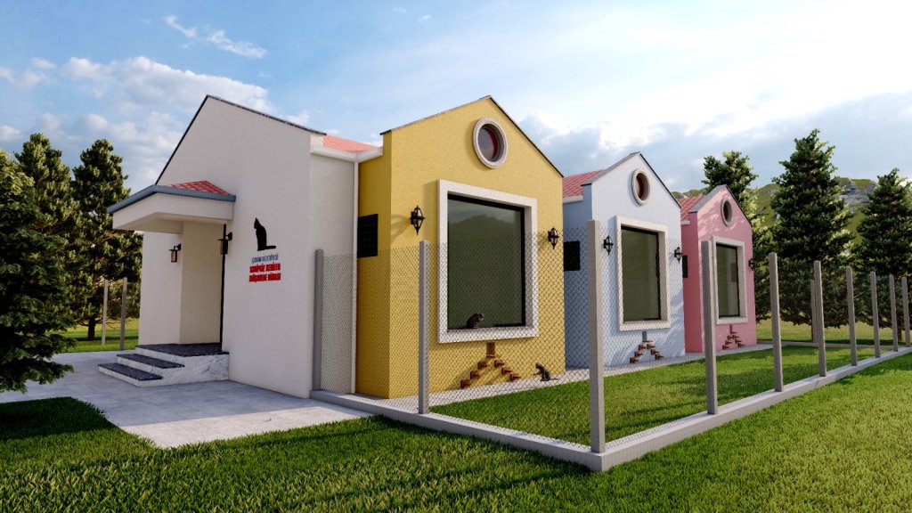 Sahipsiz kediler müşahede binası hızla ilerliyor