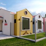 Sahipsiz kediler müşahede binası hızla ilerliyor