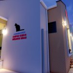 Sahipsiz kediler müşahede binası hızla ilerliyor