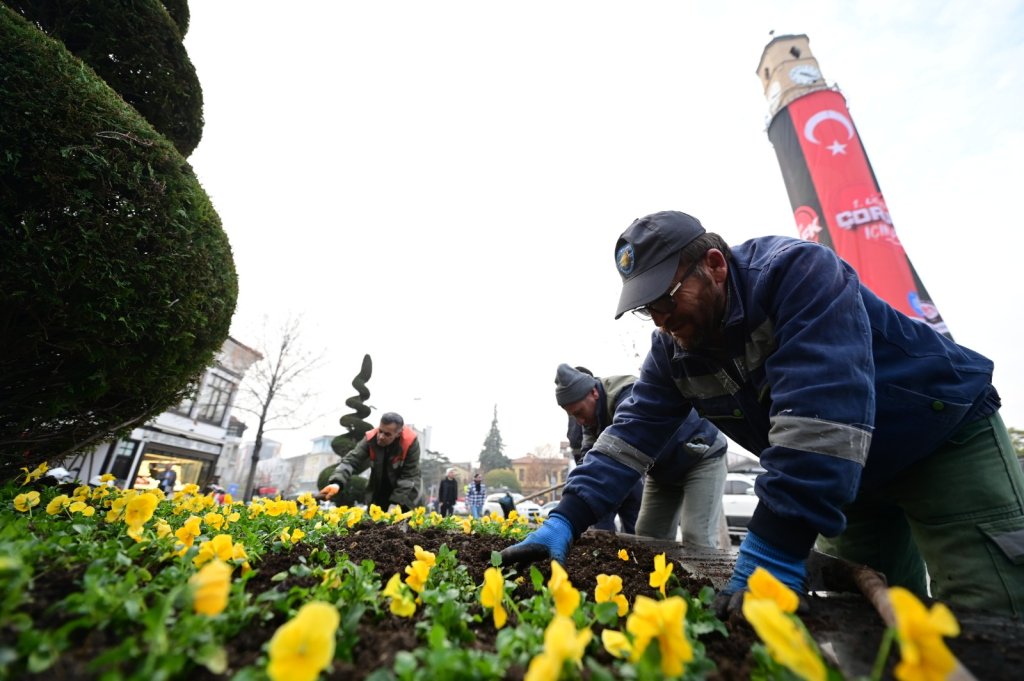 320 bin lale, sümbül ve menekşe toprakla buluşuyor