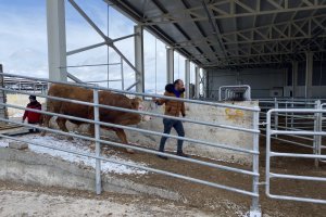 Hayırsever besiciler, depremzedelere hayvan bağışı yaptı