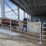 Hayırsever besiciler, depremzedelere hayvan bağışı yaptı