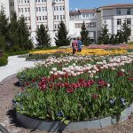 Belediye, daha yeşil bir Çorum için çalışıyor