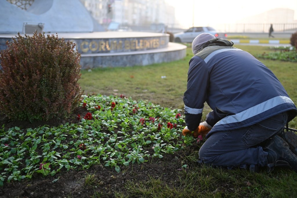 Belediye, daha yeşil bir Çorum için çalışıyor