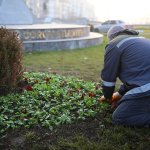 Belediye, daha yeşil bir Çorum için çalışıyor