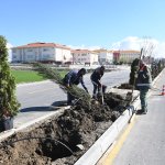 Belediye, daha yeşil bir Çorum için çalışıyor