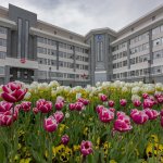 Belediye, şehri lale ve sümbüllerle donattı