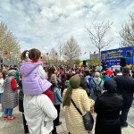 Çiğdem aşı geleneği yaşatıldı