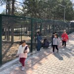 Hayvanat bahçesine yoğun ilgi