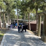 Hayvanat bahçesine yoğun ilgi