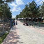 Hayvanat bahçesine yoğun ilgi