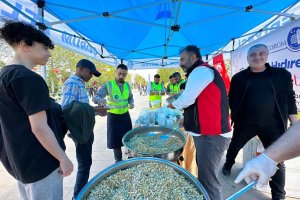 Belediye, 7 farklı noktada hedik dağıttı