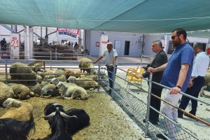 Halk Et Kombinası kurban bayramına hazır