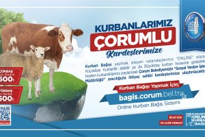 Çorum Belediyesi’nde online kurban bağışı 