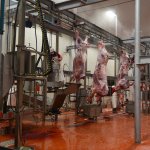 Halk Et’te kurban kesim randevusu başladı