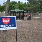 Baraj etrafı Çorum’a yakışır hale geldi