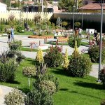 Çoruminia’yı 50 bin kişi ziyaret etti