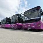 Üniversite adayları için toplu taşıma ücretsiz olacak