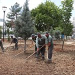 Afşin’de peyzaj çalışması