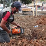 Afşin’de peyzaj çalışması