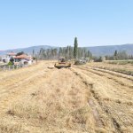 Belediye üretti, çiftçilere dağıtılacak