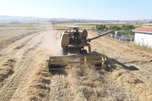 Belediye üretti, çiftçilere dağıtılacak