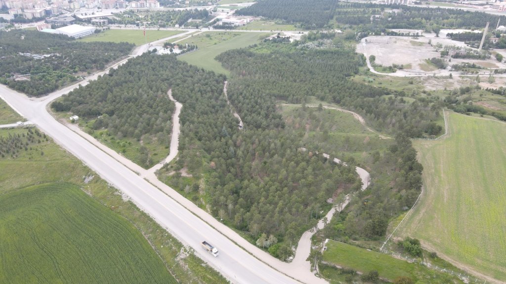 Bahabey Çamlığı eko turizm alanı oldu