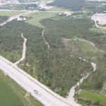 Bahabey Çamlığı eko turizm alanı oldu