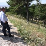 Bahabey Çamlığı eko turizm alanı oldu