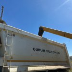 Buğdaylar biçildi, şimdi un olup ihtiyaç sahiplerine dağıtılacak