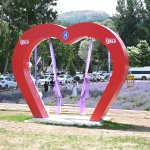 Haftasonu Lavanta Bahçesi’ne 