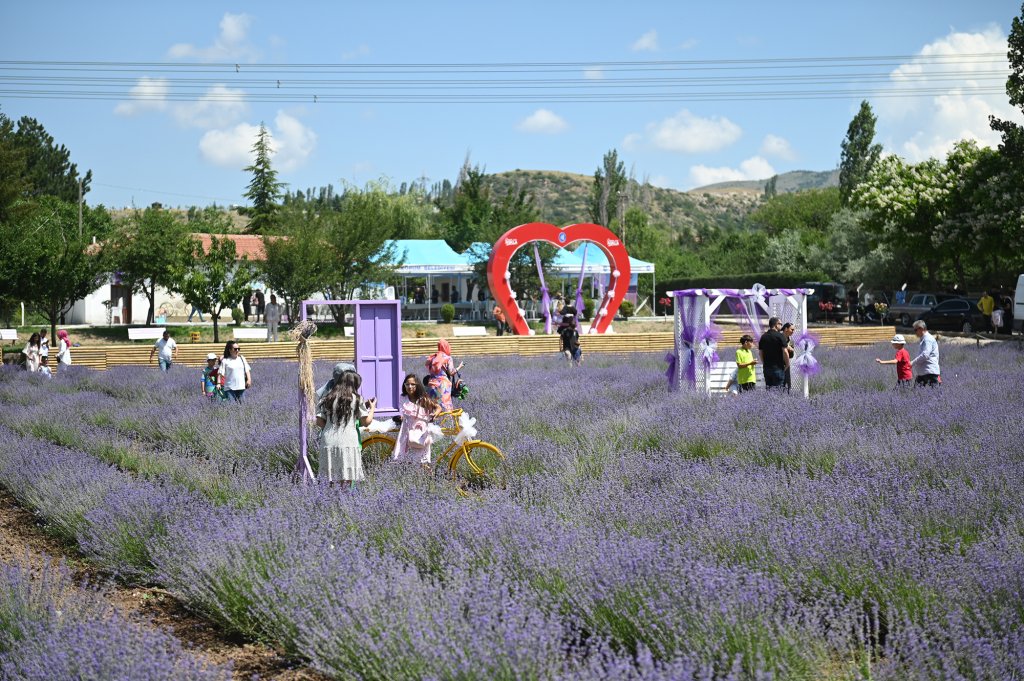 Haftasonu Lavanta Bahçesi’ne 