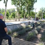 Lavanta bahçesinde ilk hasat