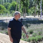 Lavanta bahçesinde ilk hasat