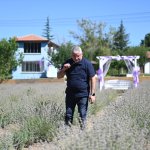 Lavanta bahçesinde ilk hasat