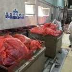 Tıbbi atıklar, çevre dostu tesiste bertaraf ediliyor