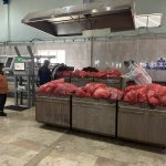 Tıbbi atıklar, çevre dostu tesiste bertaraf ediliyor