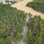 Bahabey Çamlığı “Eko-Turizm alanı” kullanıma açıldı