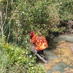 Su Kuyusuna Düşen Köpeği İtfaiye Ekipleri Kurtardı