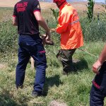 Su Kuyusuna Düşen Köpeği İtfaiye Ekipleri Kurtardı