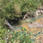 Su Kuyusuna Düşen Köpeği İtfaiye Ekipleri Kurtardı