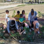 Minik Eller Hobi Bahçesi'nde doğayla buluştular