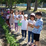 Minik Eller Hobi Bahçesi'nde doğayla buluştular