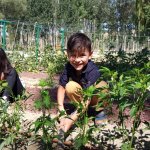 Minik Eller Hobi Bahçesi'nde doğayla buluştular