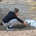 “4 Ekim Dünya Hayvanları Koruma Günü” kutlandı