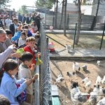 “4 Ekim Dünya Hayvanları Koruma Günü” kutlandı