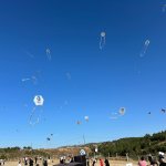 Gökyüzü uçurtmalarla renklendi