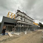 Sokak hayvanları problem olmaktan çıkacak