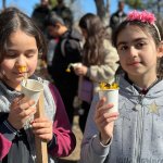 Çiğdem geleneği yaşatılıyor 